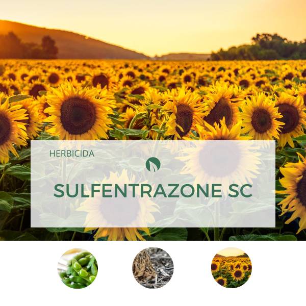 Sulfentrazone SC