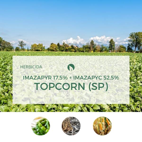 Imazapyr 17,5% + Imazapyc 52,5%TOPCORN (SP)